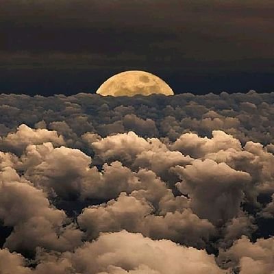 RedomirN's profile picture. Pęáçę Ļóvę Hąŕmòņý