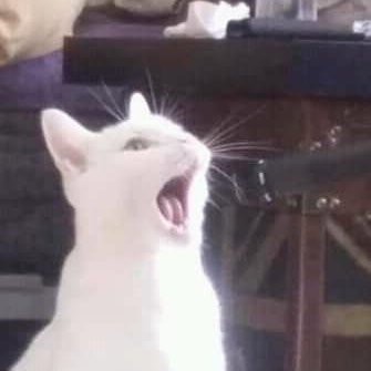 goodjscholar's profile picture. At @tnsmediastudies studying film musicals, camp and cult cinema, stardom, queer theory, theatre and/on film, and classical Hollywood. (they/he)