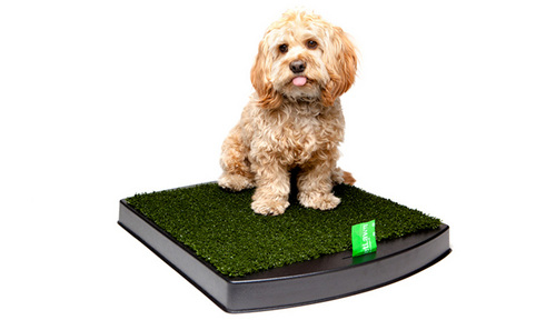The first indoor dog toileting system to make your life
Easier, Simpler and More Enjoyable.