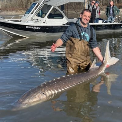 JeffNonay's profile picture. If it’s not 1 thing... It’s 3. I do what I can.