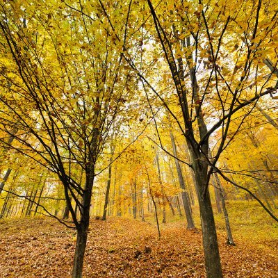 papapap325's profile picture. Crypto | NFT Investor