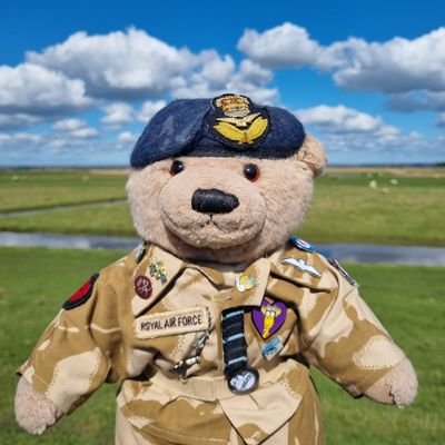 I am a mental health teddy bear, 1 of 10 postal bears whos  Brother is WCAB of our Bear Force who travels around the country.