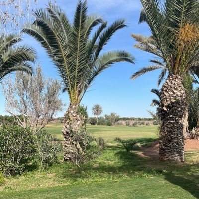 SamirSkendraou1's profile picture. 