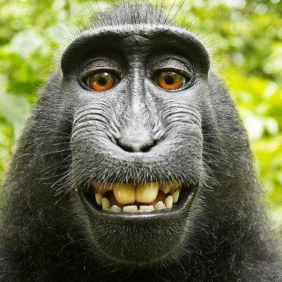 czarekkosewich's profile picture. hi hi