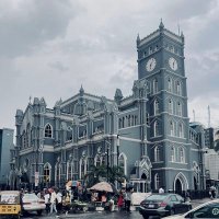 Milagro (@milagronero) 's Twitter Profile Photo