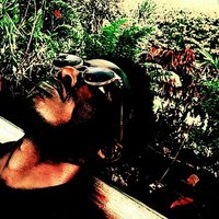 doddyyyz (@chicotweetrrr) 's Twitter Profile Photo