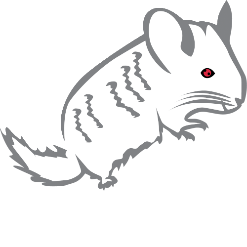 ChinnieShopcom's profile picture. ChinnieShop, the one stop shop where your Chinnies Shop!