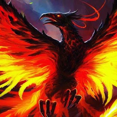 Am the Phoenix I will always rise from the ashes no matter what