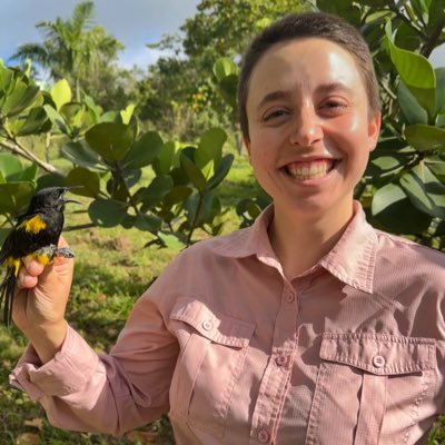 Biology Ph.D candidate at University of Maryland, Baltimore County, studying female birdsong in Orchard and Puerto Rican Orioles. She/her/hers. #blm 💖💜💙