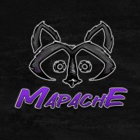Team Mapache 🦝(@TeamMapache_) 's Twitter Profile Photo