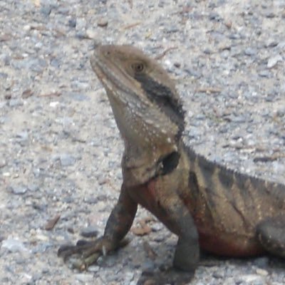 RonanMatson's profile picture. 