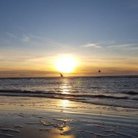 Ich gucke (@agathebouwer) 's Twitter Profile