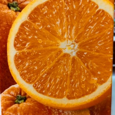 🍊鵜呑みにはしませんが🟠納得いったら大賛成❗️