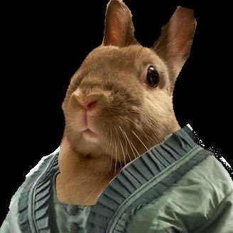 うさぎざえもんDXさんのプロフィール画像