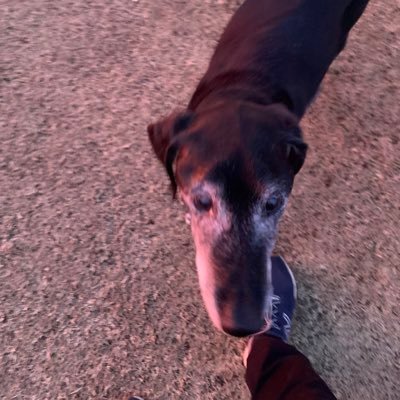 pwoliver's profile picture. 