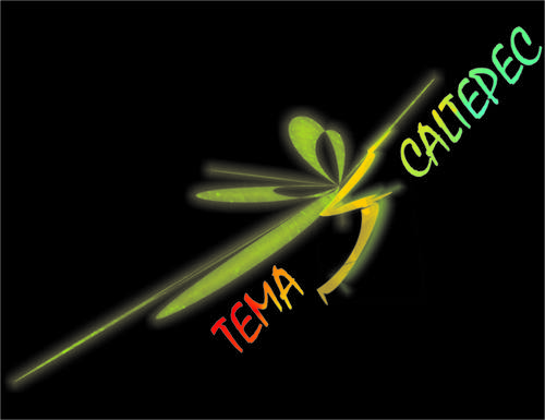 TXtremo's profile picture. 