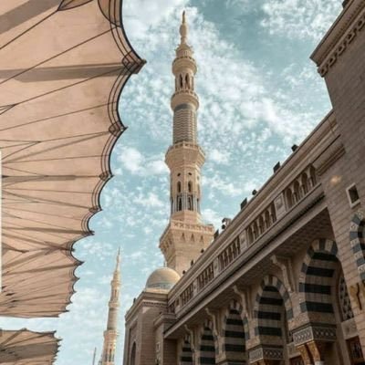 مُقرِئة ومُجيزة بالقراءات العشر الصغرى والكبرى| رابط التسجيل في برنامج اقرأ وارتقِ : https://t.co/547uJaidqF