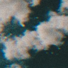 truthseekerfnd's profile picture. 