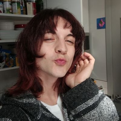 YouTuber the Hedgehog(they/them) Profile