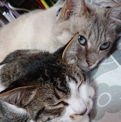 kazu_sunny's profile picture. love animals, nature, especially Australia 🏳️‍🌈