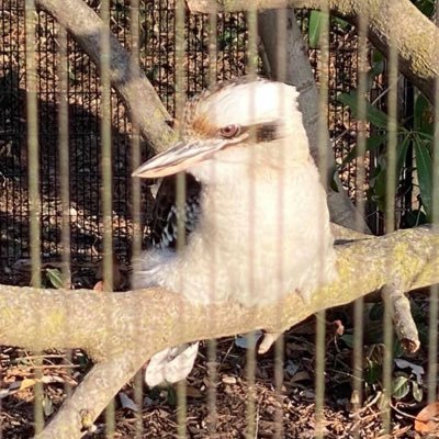 Lilonebabe's profile picture. Very small outgoing looking to connect