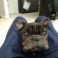 みき (@ytvljwbrfrf7ewb) 's Twitter Profile