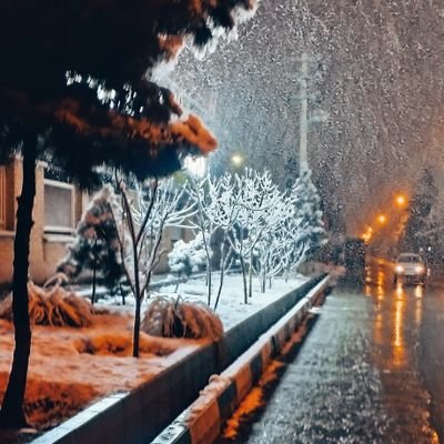 no_pain99's profile picture. https://t.co/zlQWgofZpk