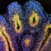 Hannah Rudolph 🧠🔬🧬 (@hrneuro) Twitter profile photo Hannah Rudolph 🧠🔬🧬 (@hrneuro) Twitter profile photo