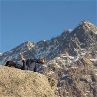 Bhanu Joshi (@beejoshi) 's Twitter Profile