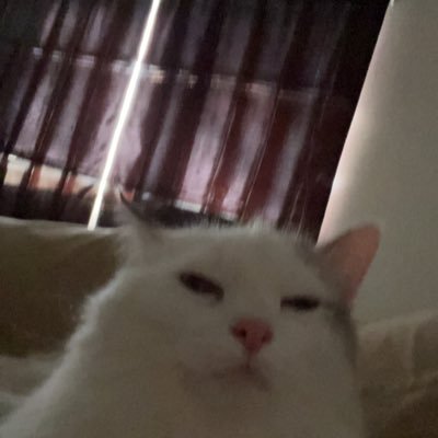 janeycott's profile picture. online diary idc