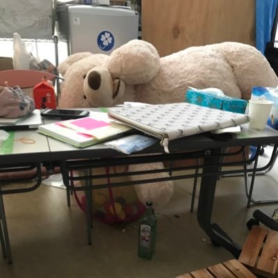 arielnatsu0828's profile picture. アリエル/嵐/Taylor Swift/Ariana Grande/Disney/緋月ゆい/そらる