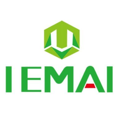 IEMAI 3D Profile