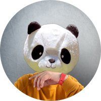 Cripto Panda Bitcoin ⚡️ (@criptopandaz) 's Twitter Profile