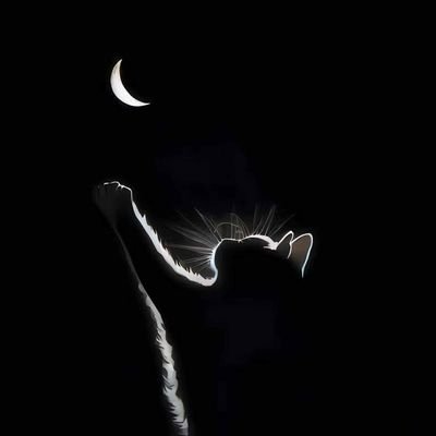 lllonling's profile picture. 你好