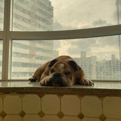 gangbang0106's profile picture. 링공방 다 삼