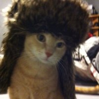 nat (@certainlynotnat) 's Twitter Profile Photo