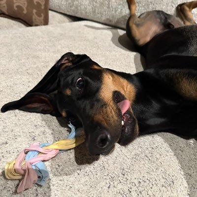 wiisnns's profile picture. 