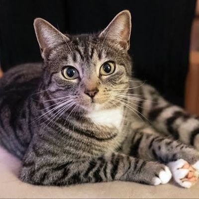 Jamesmartis53's profile picture. 