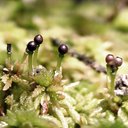 dwight whitaker - @dwightaker - Twitter