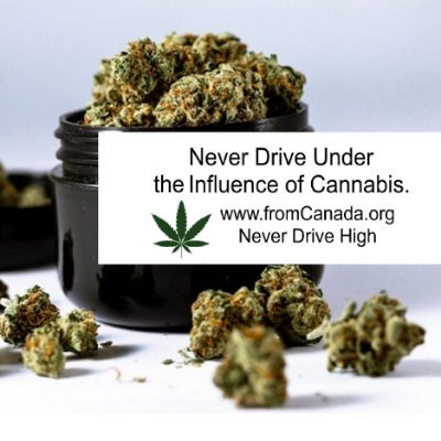 CannabisCDN Profile Picture