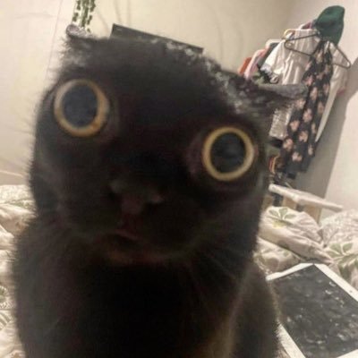 repulsedfrog's profile picture. Uhhhhhhh