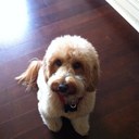 Michelle  Morlock - @Morlockm - Twitter