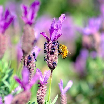 itstoodarktosee's profile picture. 