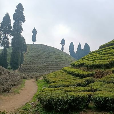 PinkuJana9's profile picture. 