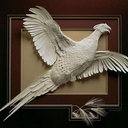 JOY CHEN - @NJoys007 - Twitter