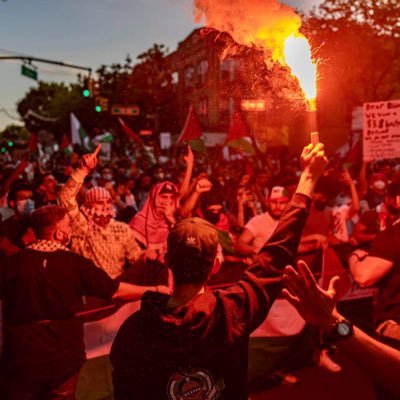 antiwoke007's profile picture. Thinking out loud…