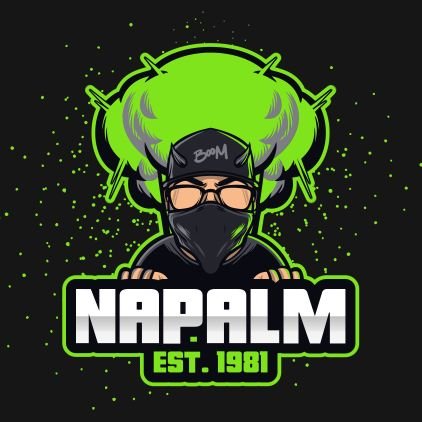 naPalmgaming81 Profile Picture