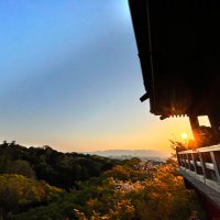 さすけ (@kkk_2575) 's Twitter Profile