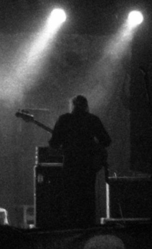 fimbriate's profile picture. Unreconstructed musician.