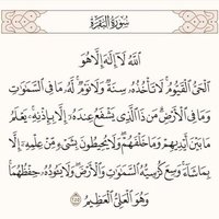 محمد أبو حمزة - غزة فلسطين (@hamza09043) 's Twitter Profile